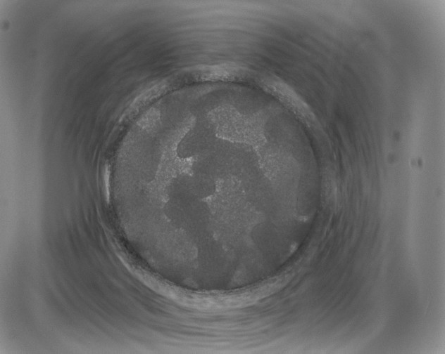 X0000085040022200703191245