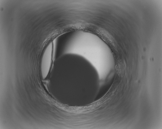 X0000085040023200703191245