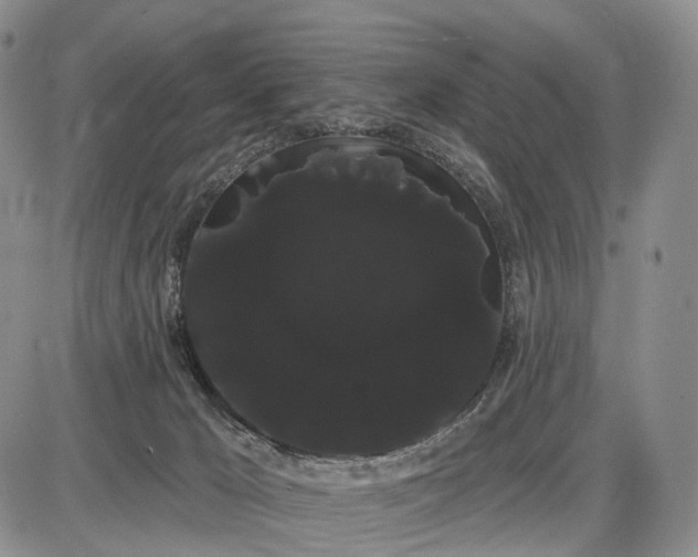 X0000085040029200703191245