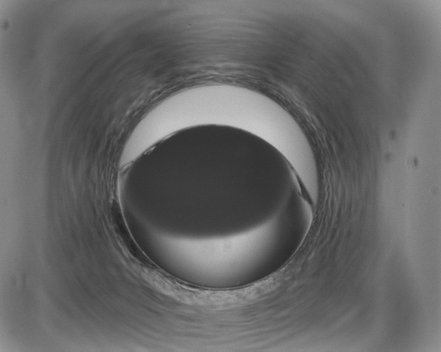 X0000085040031200703191244