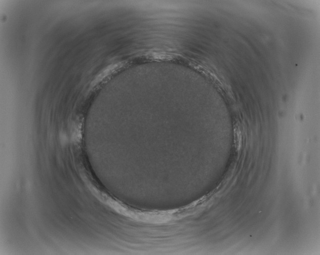 X0000085040032200703191244