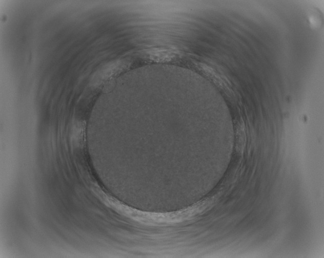 X0000085040034200703191244