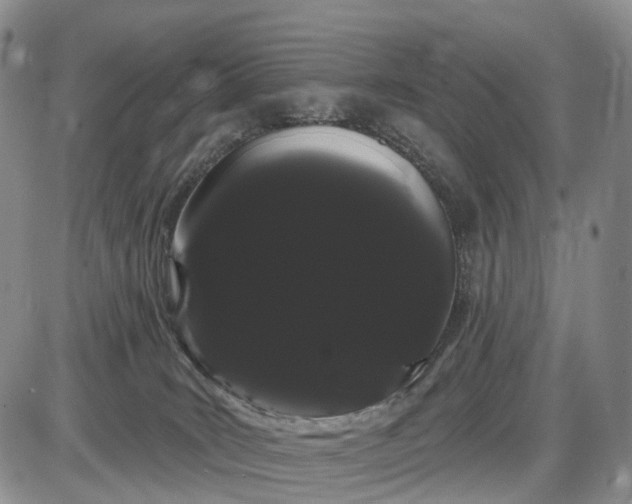 X0000085040035200703191244