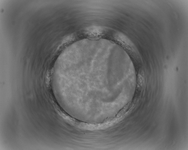 X0000085040037200703191244