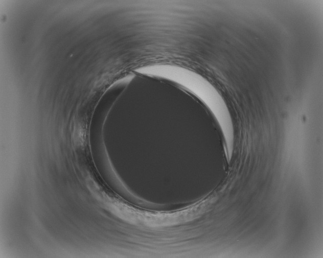 X0000085040039200703191244