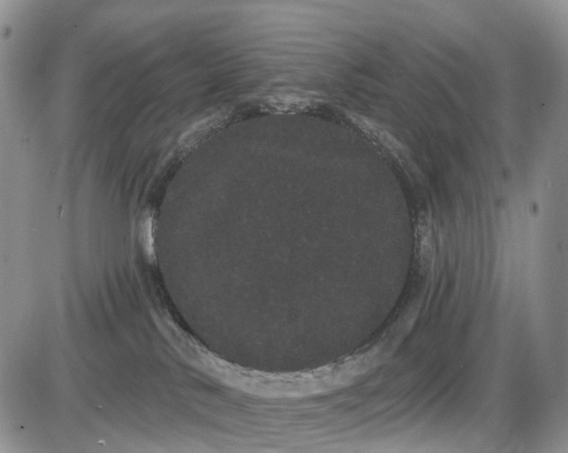 X0000085040042200703191244