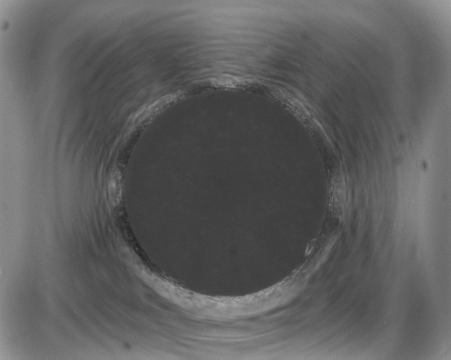 X0000085040043200703191244