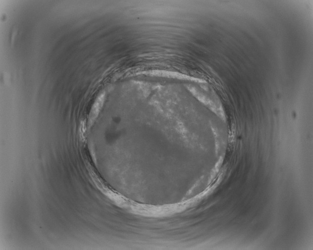 X0000085040045200703191244