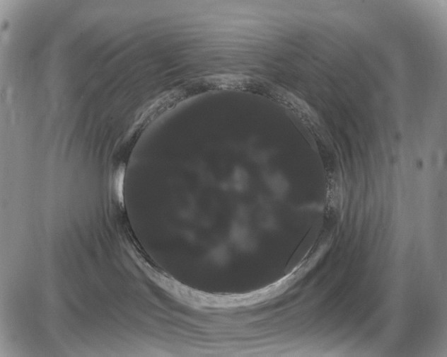 X0000085040047200703191244