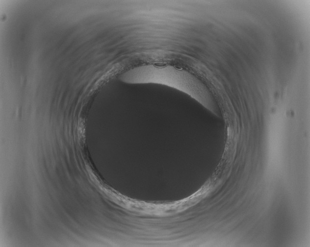 X0000085040048200703191244