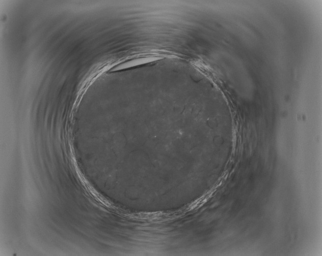 X0000085040049200703191243