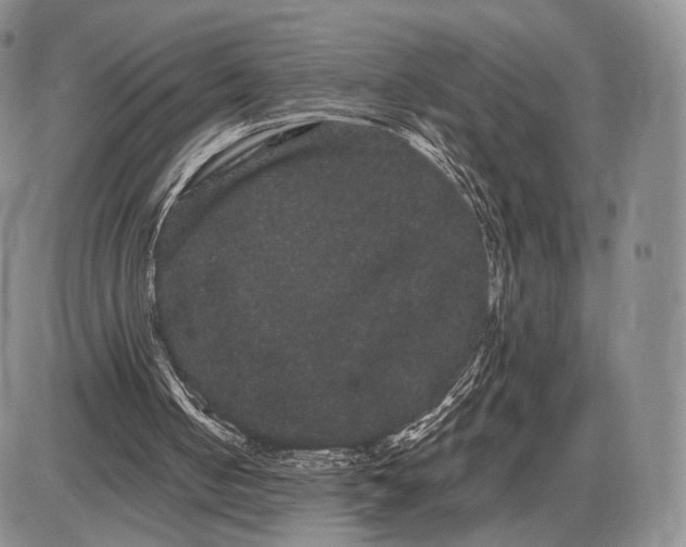 X0000085040050200703191243