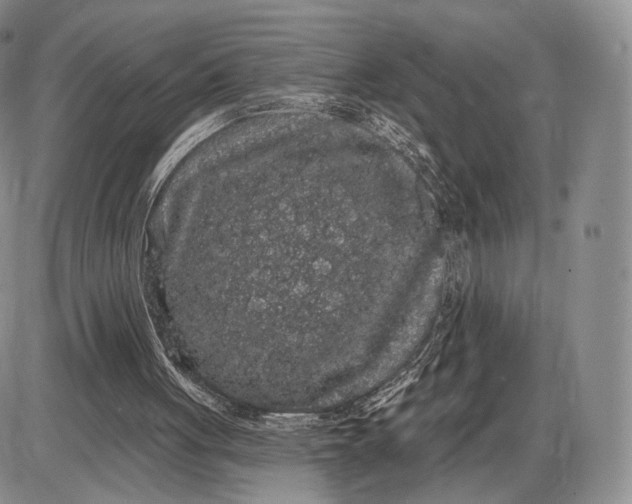 X0000085040051200703191243