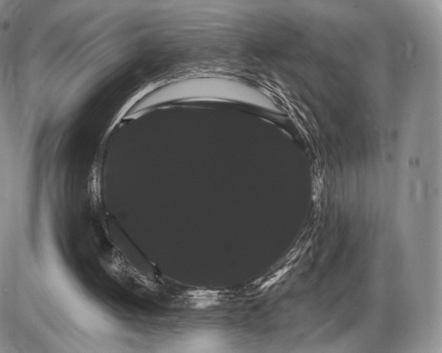 X0000085040052200703191243