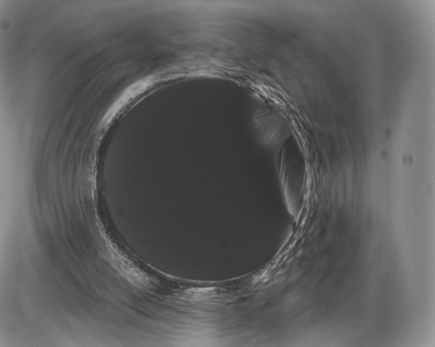 X0000085040054200703191243