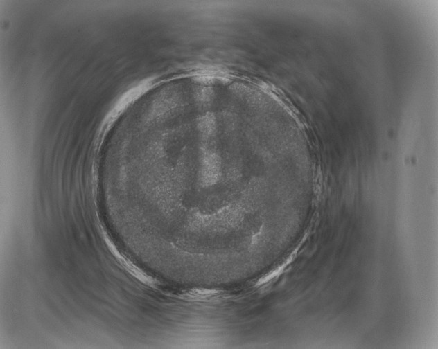 X0000085040055200703191243