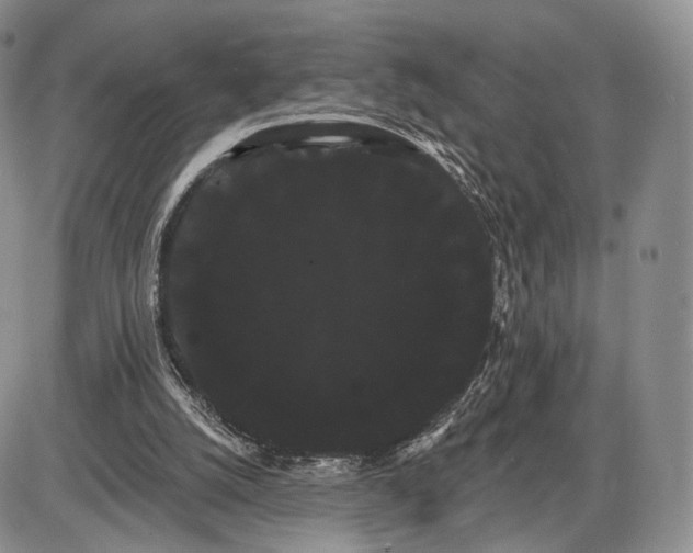 X0000085040056200703191244