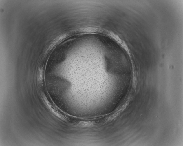 X0000085040057200703191244