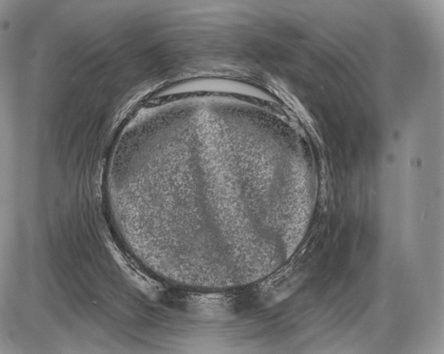 X0000085040058200703191244