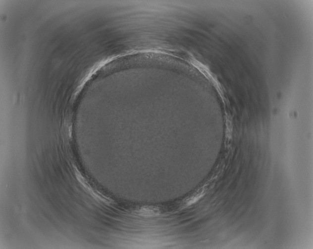 X0000085040060200703191244