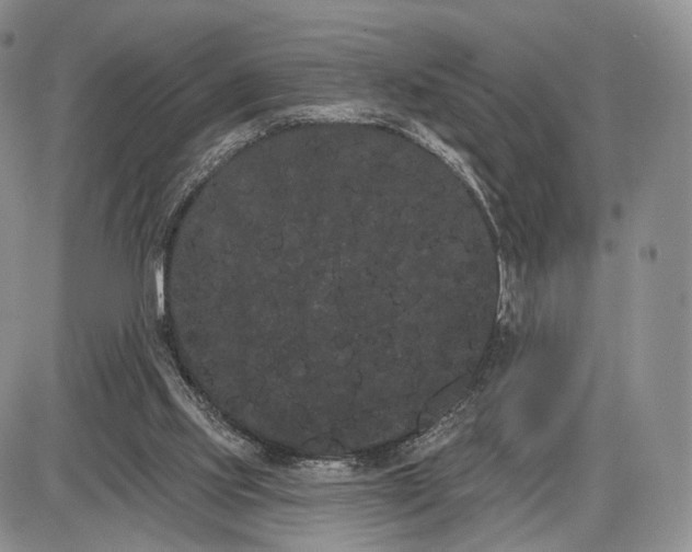 X0000085040061200703191244