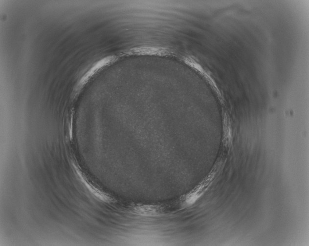 X0000085040062200703191244