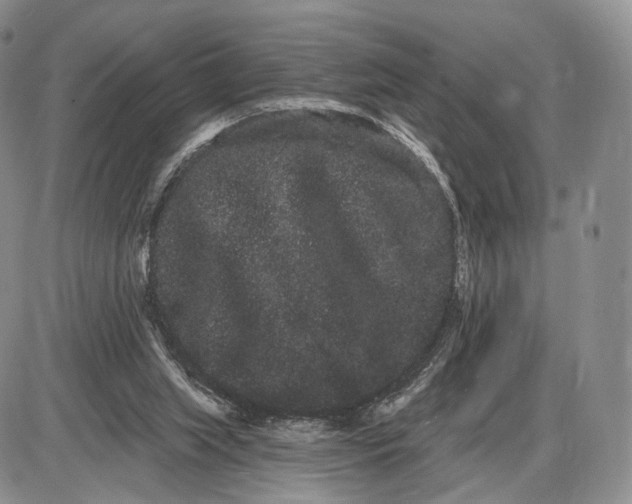 X0000085040063200703191244