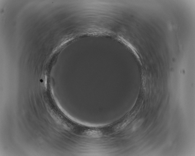 X0000085040067200703191244