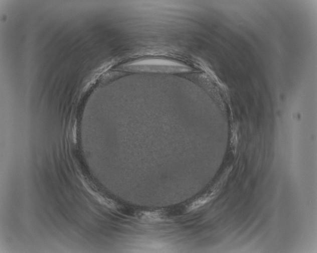 X0000085040068200703191244