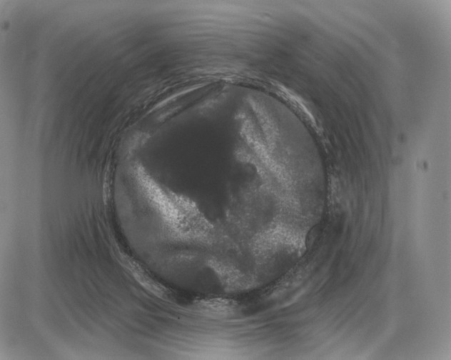 X0000085040069200703191244