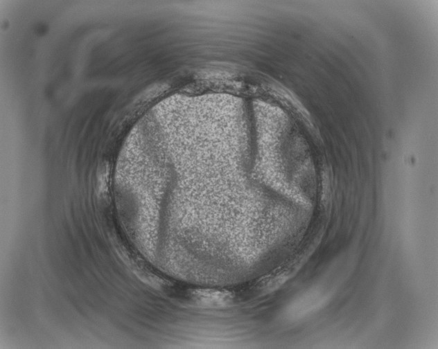 X0000085040073200703191244