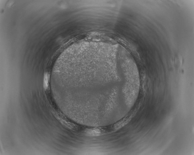 X0000085040075200703191244