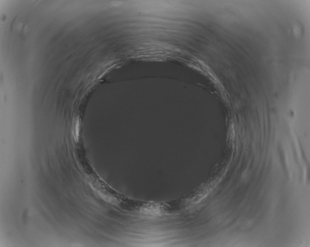 X0000085040076200703191244