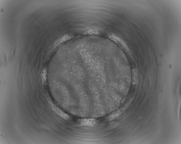 X0000085040077200703191244