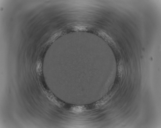 X0000085040079200703191244