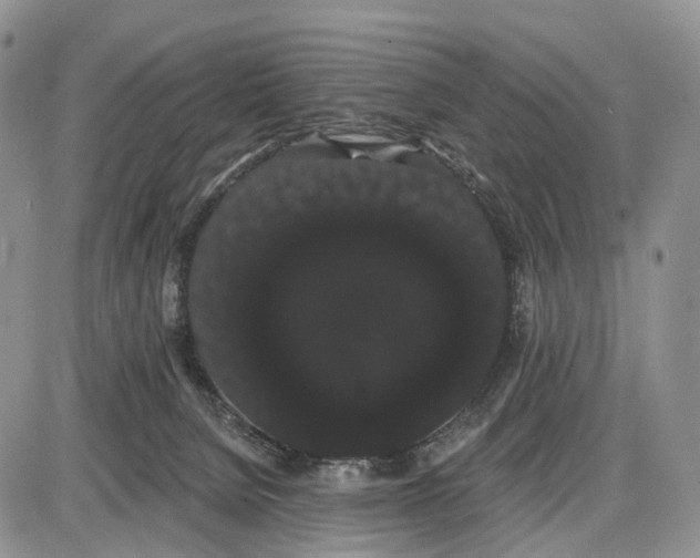 X0000085040080200703191244