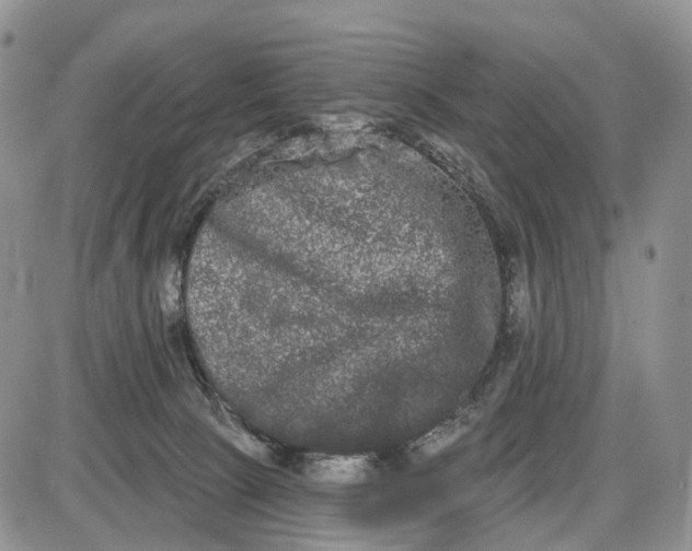 X0000085040081200703191244