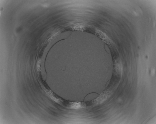 X0000085040083200703191244