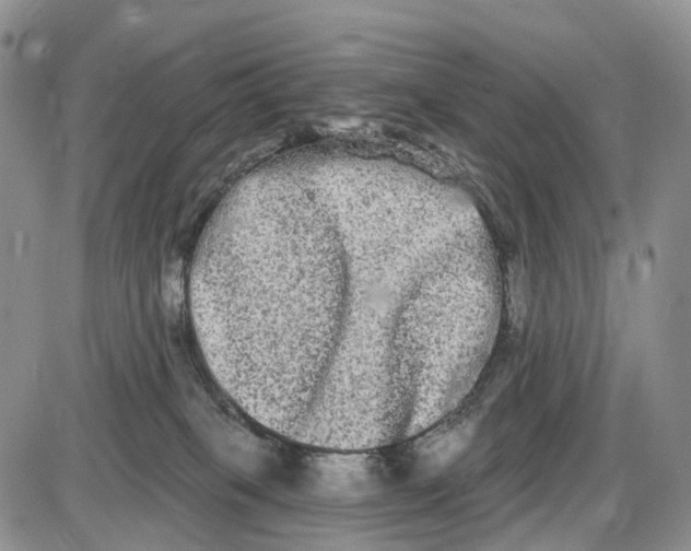 X0000085040085200703191244