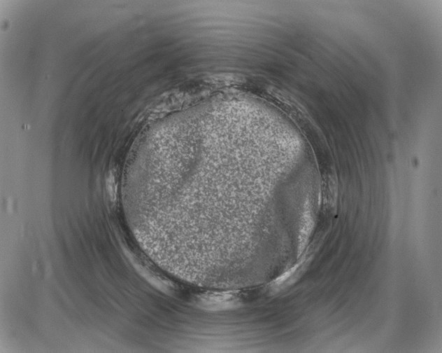 X0000085040086200703191244