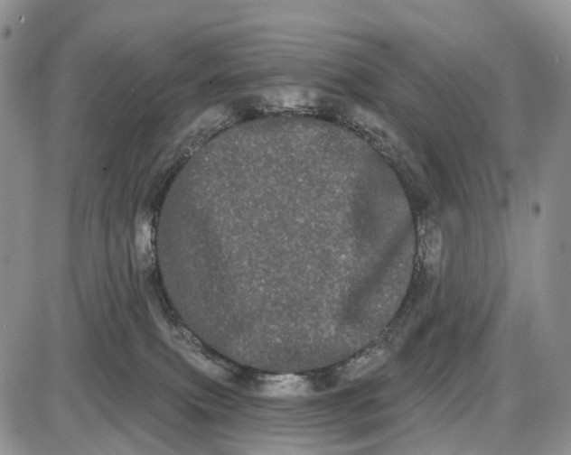 X0000085040087200703191244