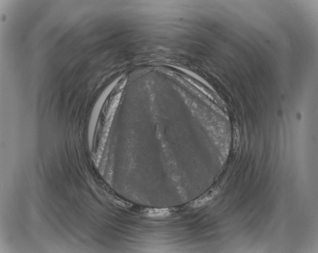 X0000085040088200703191244