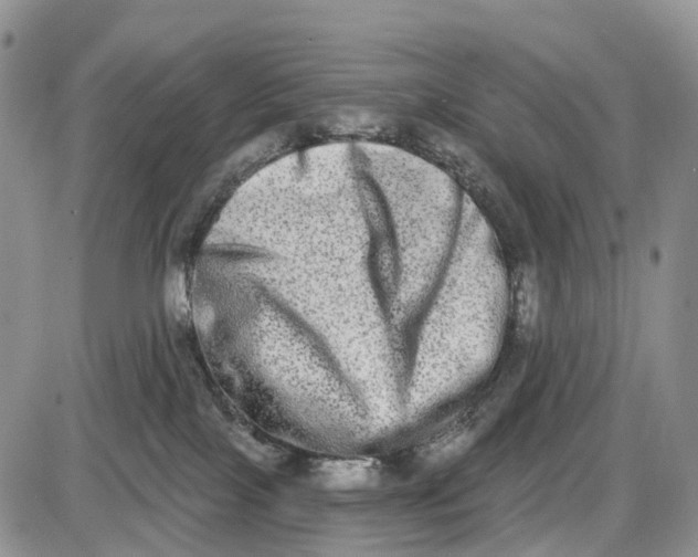 X0000085040089200703191244