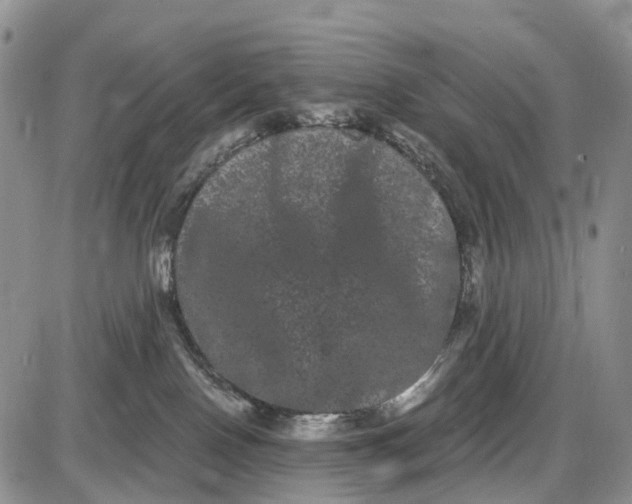 X0000085040090200703191244