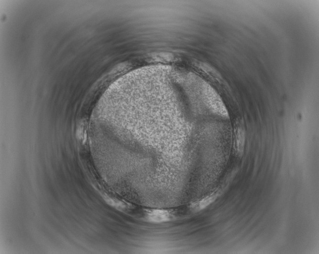 X0000085040091200703191244