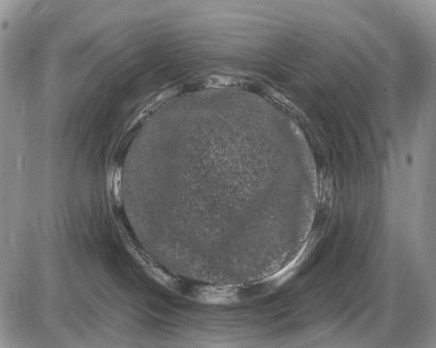 X0000085040094200703191244