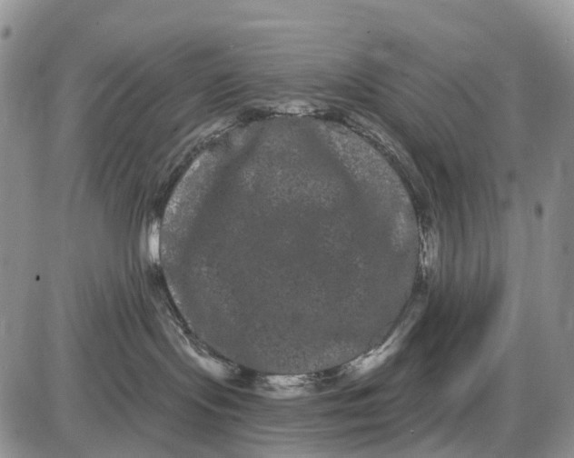 X0000085040095200703191244