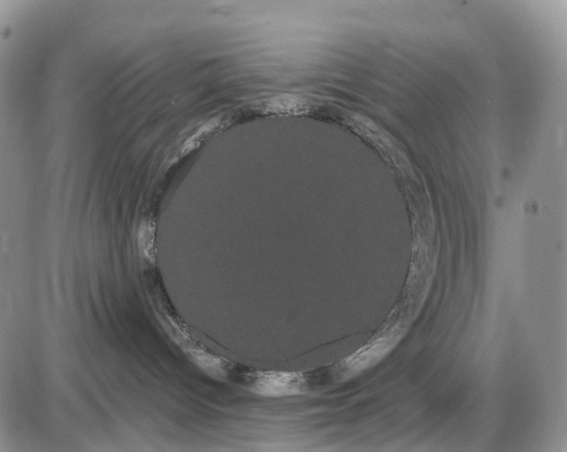 X0000085040096200703191244