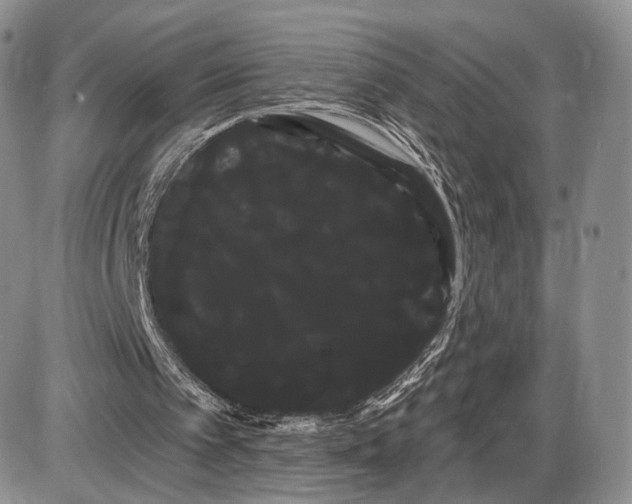 X0000085040097200703191243