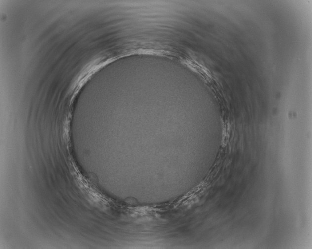 X0000085040098200703191243